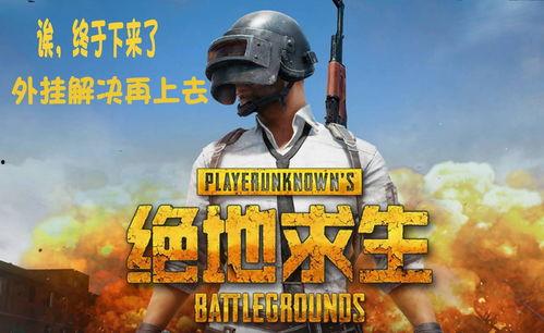 吃鸡二周年爆料视频直播,二周年狂欢来袭！吃鸡直播揭秘全新内容与惊喜