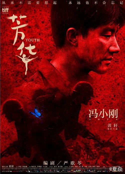 芳华 在线观看,青春岁月里的激情与梦想