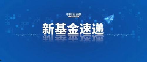 和平基金最新爆料新闻,揭秘重大国际和平项目进展